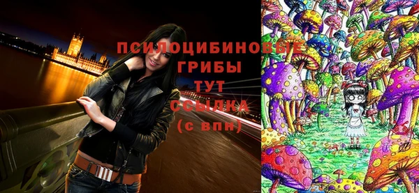 стафф Алзамай