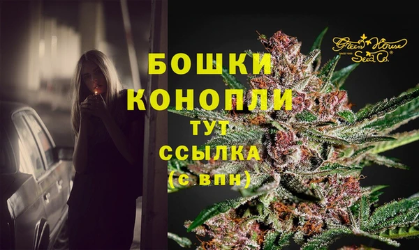 меф Арсеньев