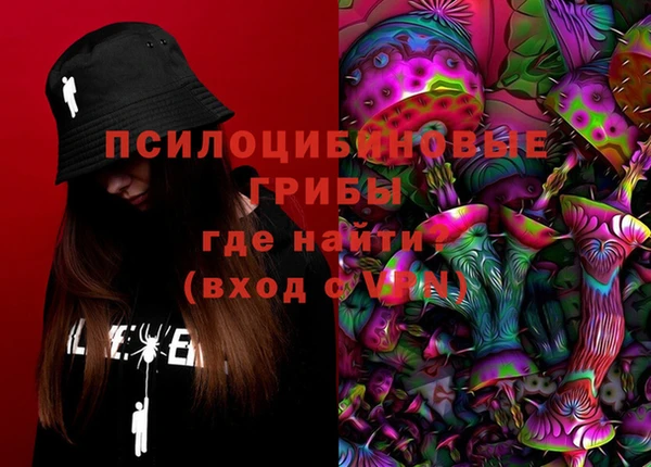 стафф Алзамай