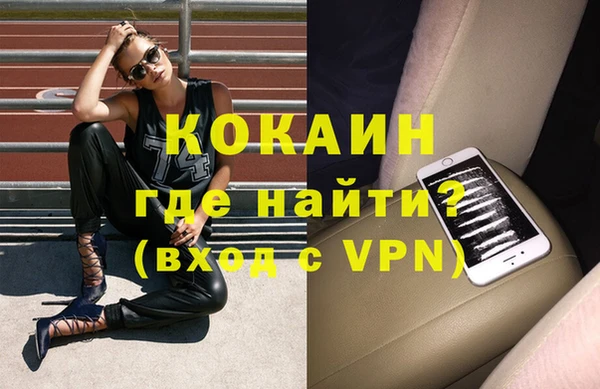 стафф Алзамай