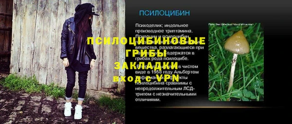 гидра Алексеевка
