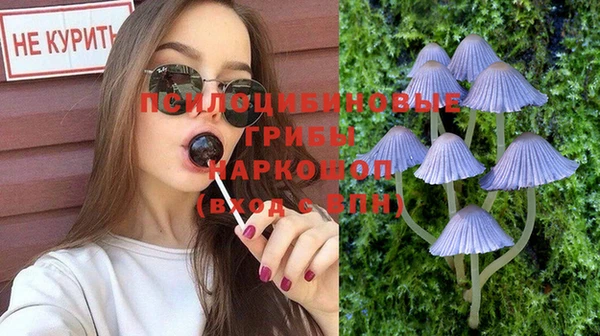 прущие крисы Армянск