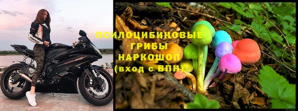 гидра Алексеевка
