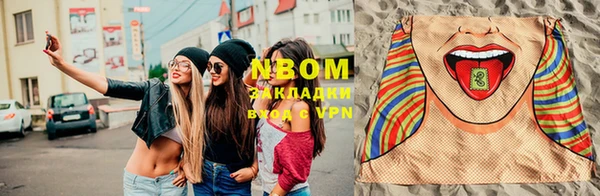 гашик Аркадак