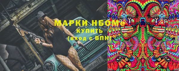 гашик Аркадак