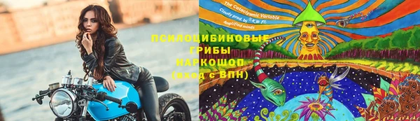 меф Арсеньев
