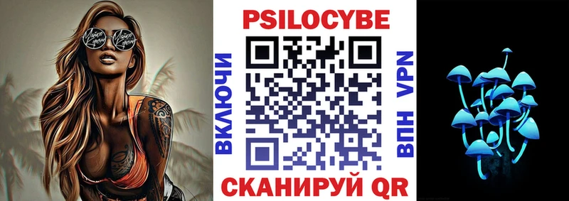 Галлюциногенные грибы Psilocybe Строитель